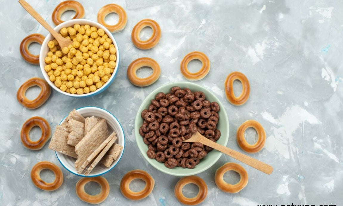 Easy Homemade Dog Treats Recipe