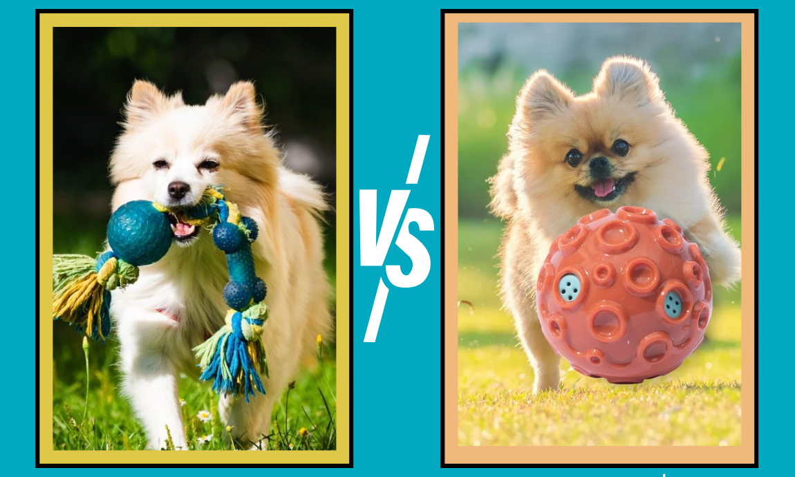 How to Choose The Best Toys For Small vs. Large Dogs
