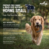 Water Buffalo Horns Dog Chew - Pack of 4 - Small Size