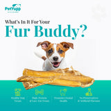 100% Natural Water Buffalo Paddywack Dog Chews - Pack of 6