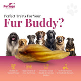 100% Natural Water Buffalo Ear with Meat Dog Chew - Pack of 10