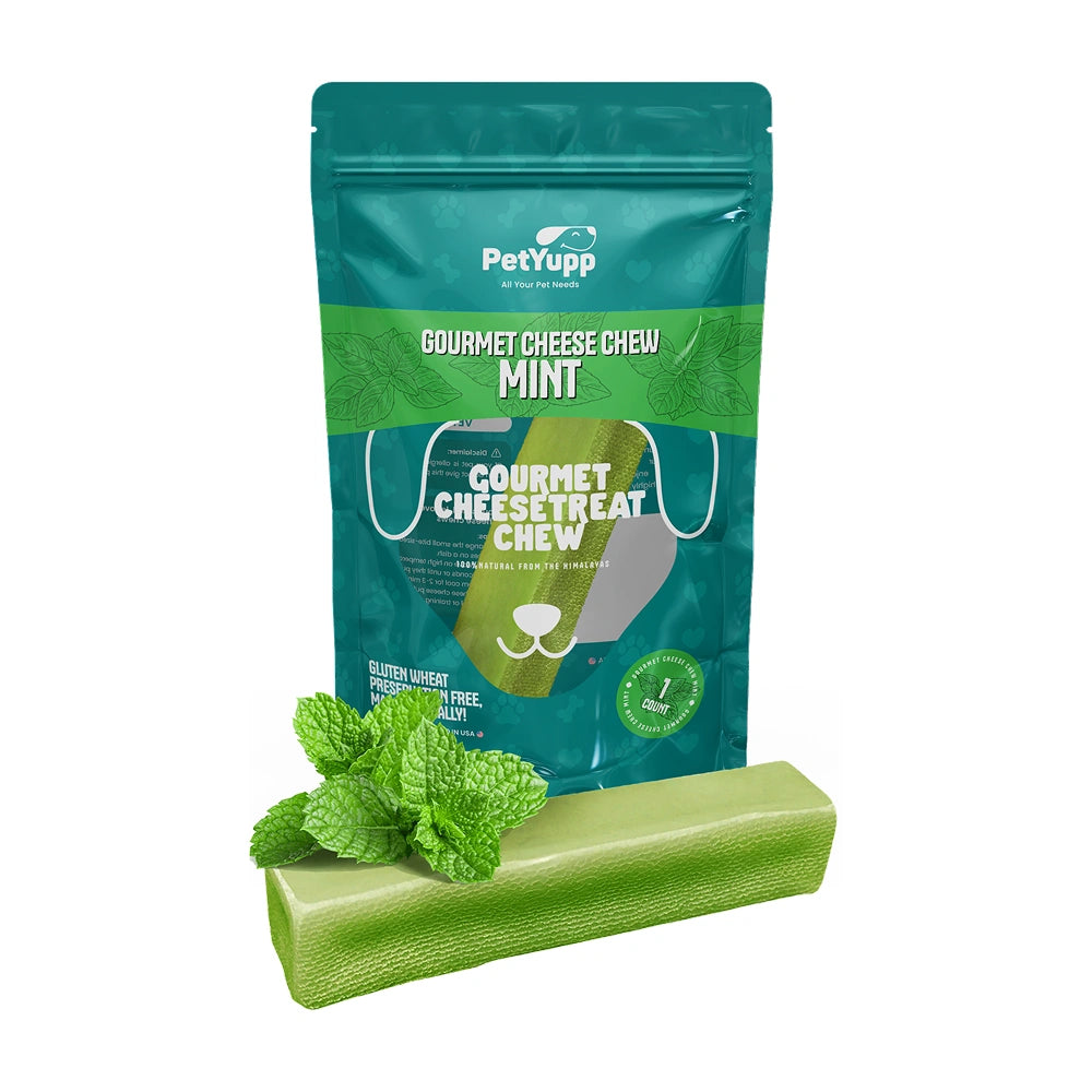 Mint Himalayan Cheese Chew 3.5oz pack